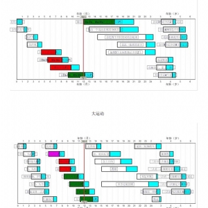 0-6歲兒童發(fā)育篩查法(DDST)丹佛發(fā)育篩查軟件及工具