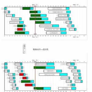 0-6歲兒童發(fā)育篩查法(DDST)丹佛發(fā)育篩查軟件及工具